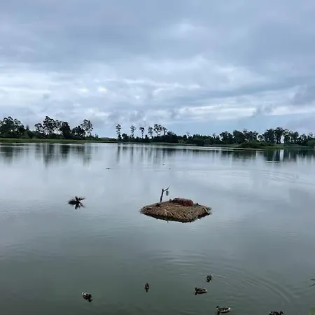 Moradia Alegre No Centro Da Da Tocha. Nyaraló Tocha