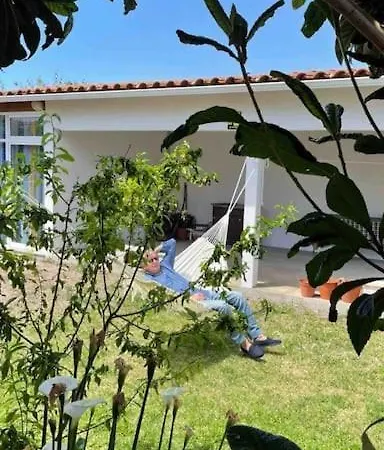 Moradia Alegre No Centro Da Da Tocha. Tocha