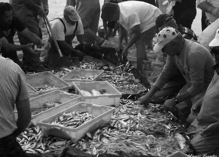 Moradia Alegre No Centro Da Da Tocha. Tocha