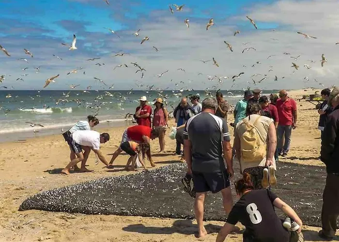 Holiday home Moradia Alegre No Centro Da Da Tocha.